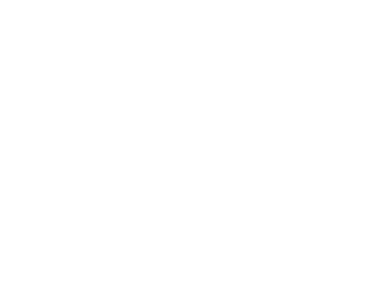 You've found the Mysterious CD.