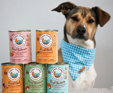 nourriture humide pour chien
