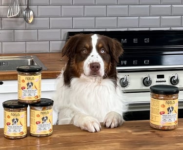 menus cuisinés pour chien