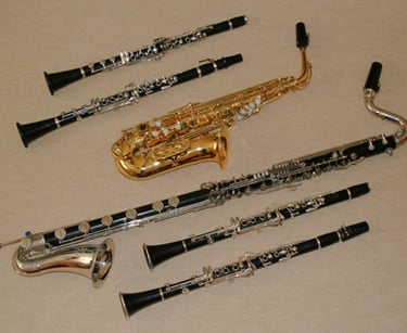 French clarinets, German clarinets, bass clarinet and alto saxophone: Verity Morris plays & teaches