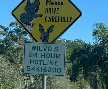 Swift drive wildlife sign