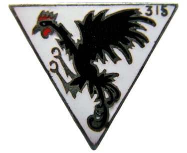 315 Polish Fighter Squadron badge, skinny black cockerel or dragon, rampant, red comb, claws raised.