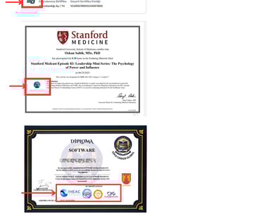 Professional educational certificates from Stanford Medicine, edX, and IHEAC highlighting medical and software credentials.