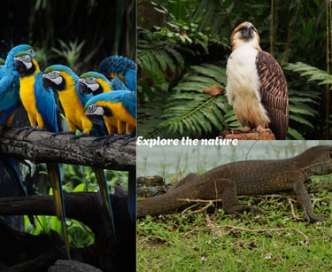 Explore the nature