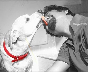 Dog Boarding, Dog Boarding near me, Pet Boarding, Pet Boarding near me, Dog Care, Happy Pettings