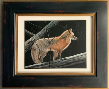 Scratchboard art of a red fox in autunm,