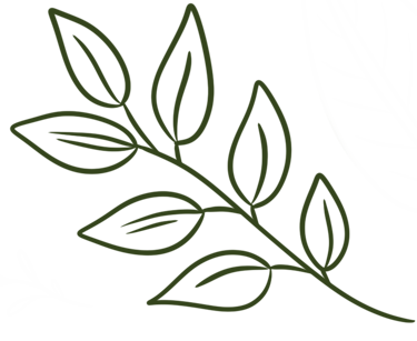Branche avec feuilles
