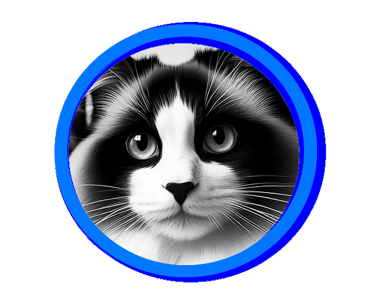 Le ragdoll traditionnel avec un v blanc sur la tête, se dit aussi bicolore.