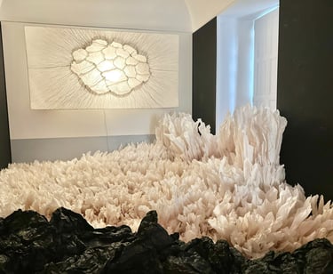 L'Odyssée de Léa @16mag