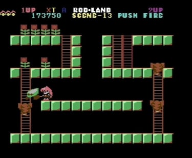 Commodore 64 Rodland Rit Grabs a Cob