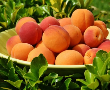a bowl of peaches