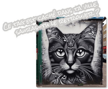 image d'un tag de chat dans une ville avec typo "Ce tag est caché dans ta ville. Sauras-tu le retrouver ?"