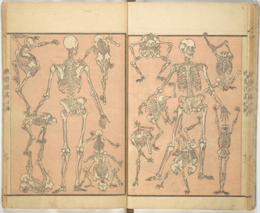 Kyosai manga depicting various skeletons in comic positions