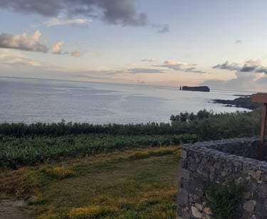 viewpoint with green land close to the sea and an islet in the distance