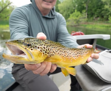 May 2025 South Holston River Fishing Report