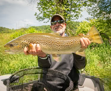 27" Brown Trout May 2025