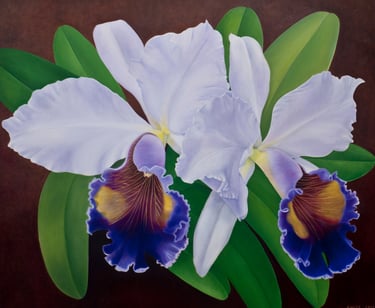 Vibrant Cattleya orchid, museum-scale botanical art by Christine Knize.