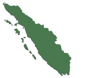 Sumatra Trekking Orangutan