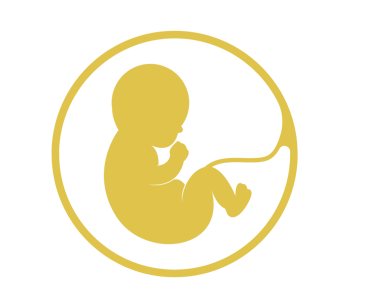 a baby in a womboooooooooooooooooooooo