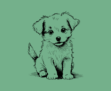 Gentle puppy grooming by EMG Dog Grooming Studio in Amsterdam East.