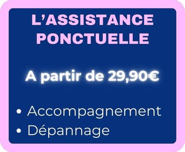Assistance informatique à partir de 29.90€