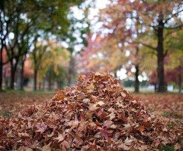 a pile of fall leaves