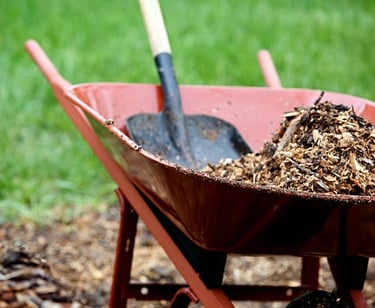 A wheelbarrow with mulch & a shovel