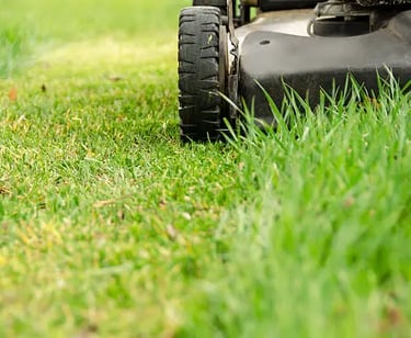 a lawn mower mowing grass