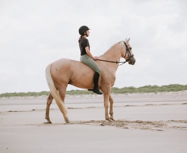 couple cavalier cheval plage