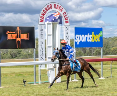 Racehorse