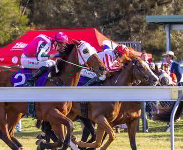 Horses racing past the crowd at Nanango
