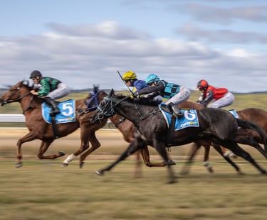 Horses Racing