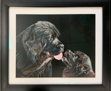 An adult new foundling dog looking affectionately at a Newfie pup, in scratchboard.