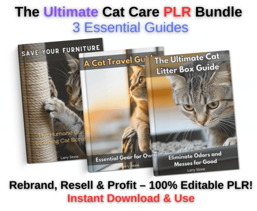 Entrepreneur PLR bundle ebook cover – digital business guide with private label rights, instant down