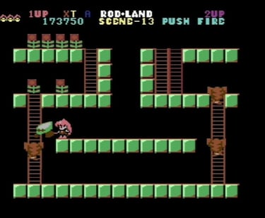 Commodore 64 Rodland Rit Grabs a Cob