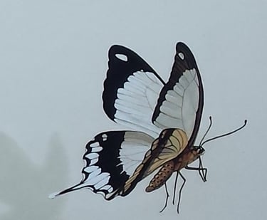 Détail d'une fresque peinte: un beau papillon noir et blanc vole. à Lons-le-Saunier (Jura, 39).