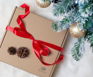 christmas present with red bow