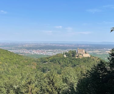 Hambacher Schloss Neustadt an der Weinstraße Annerschtwo