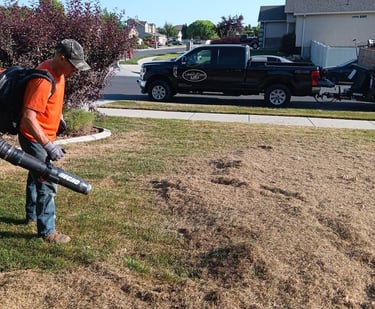 Lawn Power Raking and Thatch removal company