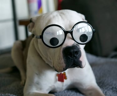 Health Vibes - LOL at Animals Doing their goofy - the best medicine to reduce stress