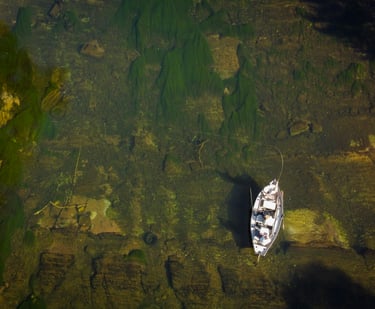 Long light leaders are key for August fly fishing in Tennessee.