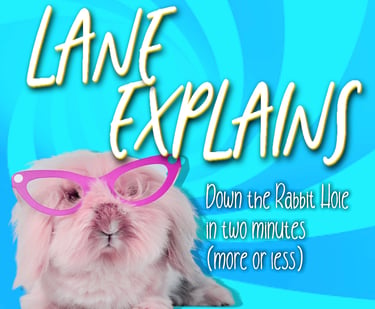 A pink bunny wearing glasses on a blue swirl background with Lane Explains channel branding.