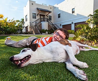 phoenix artificial turf for dogs