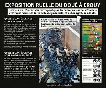  Infographie de l'exposition à Erquy sur l'impact des déchets, photo du casier marin par D. Collet.
