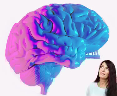 Gehirn rosa-blau und Gabriela