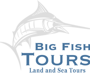 Logo for Big Fish Tours, a San Juan del Sur travel agency offering Land and Sea Tours, featuring a b