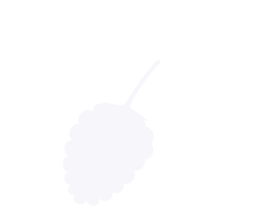 Fehér minimalista málna ikon sziluett levéllel fehér háttérrel.