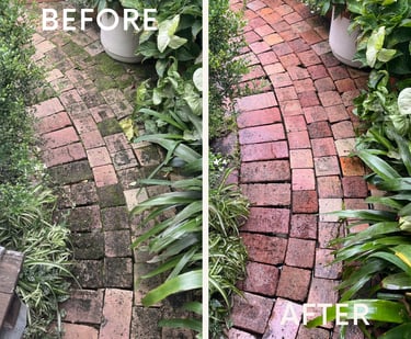 Before and after comparison of pressure washing a mossy brick garden pathway