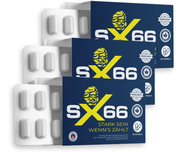 SX66