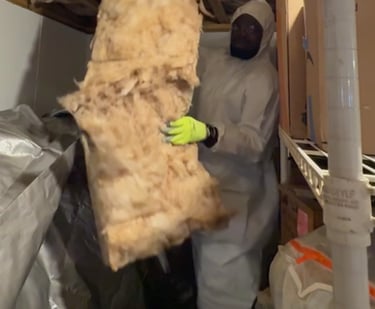 Rat dropping contaminated insulation removal in Northampton MA